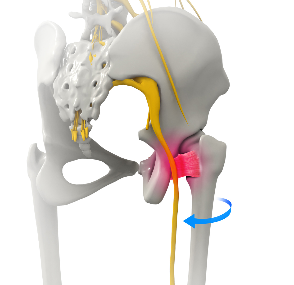 Hip Preservation Surgery