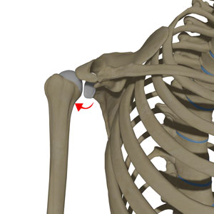 posterior-shoulder-instability