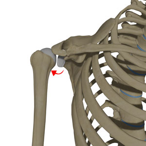 Posterior Shoulder Instability