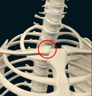 sternoclavicular-joint-sc-joint